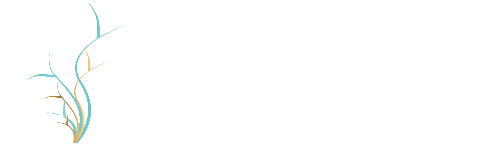 Alexandra RAIMBEAUX Orboreale - Ostéofluidique